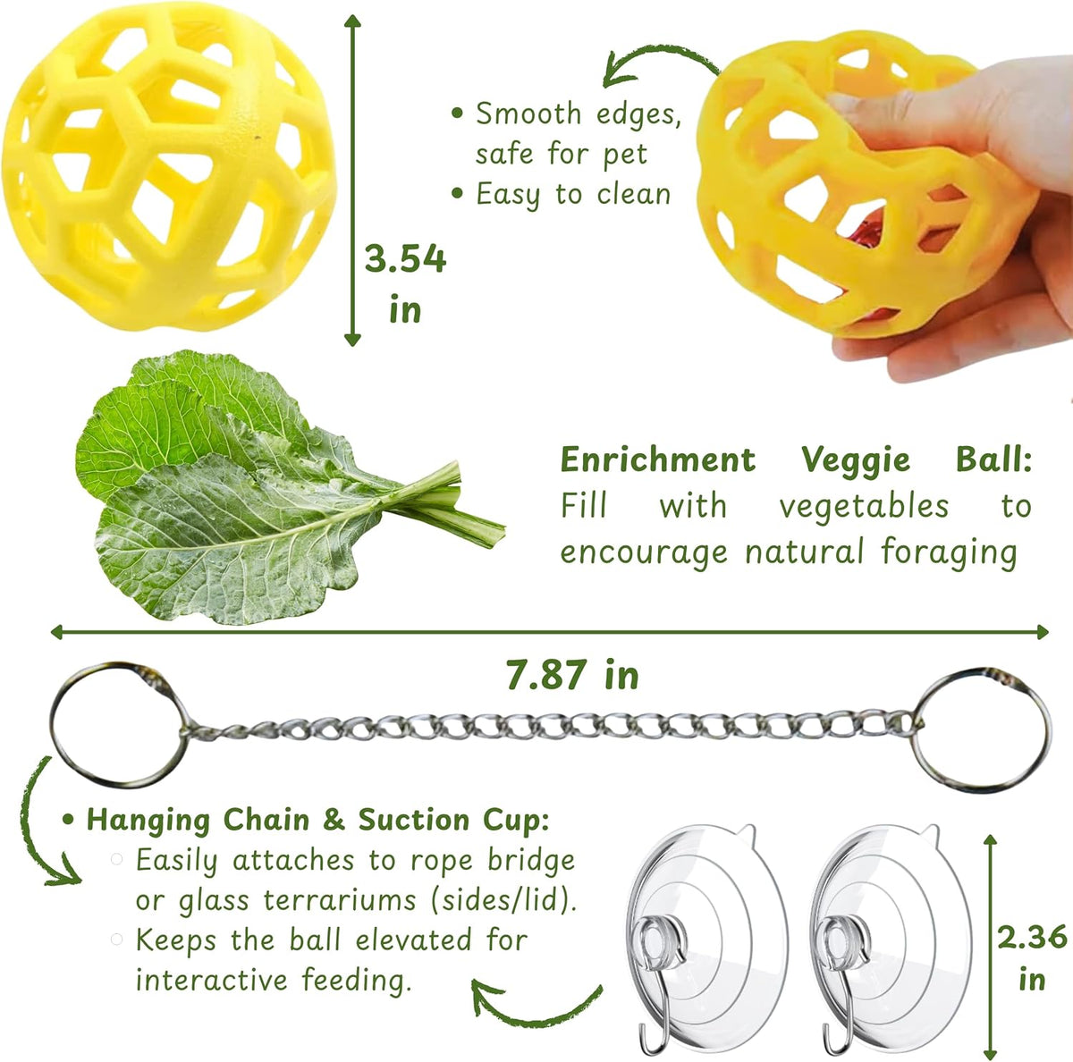 Bearded Dragon Climbing Bridge with Veggie Feeder Ball – Bendable Vine Enrichment Route for Large Tanks, Greens Intro Kit, Reptile/Lizard Tank Accessories (Salad Feeder Ball)