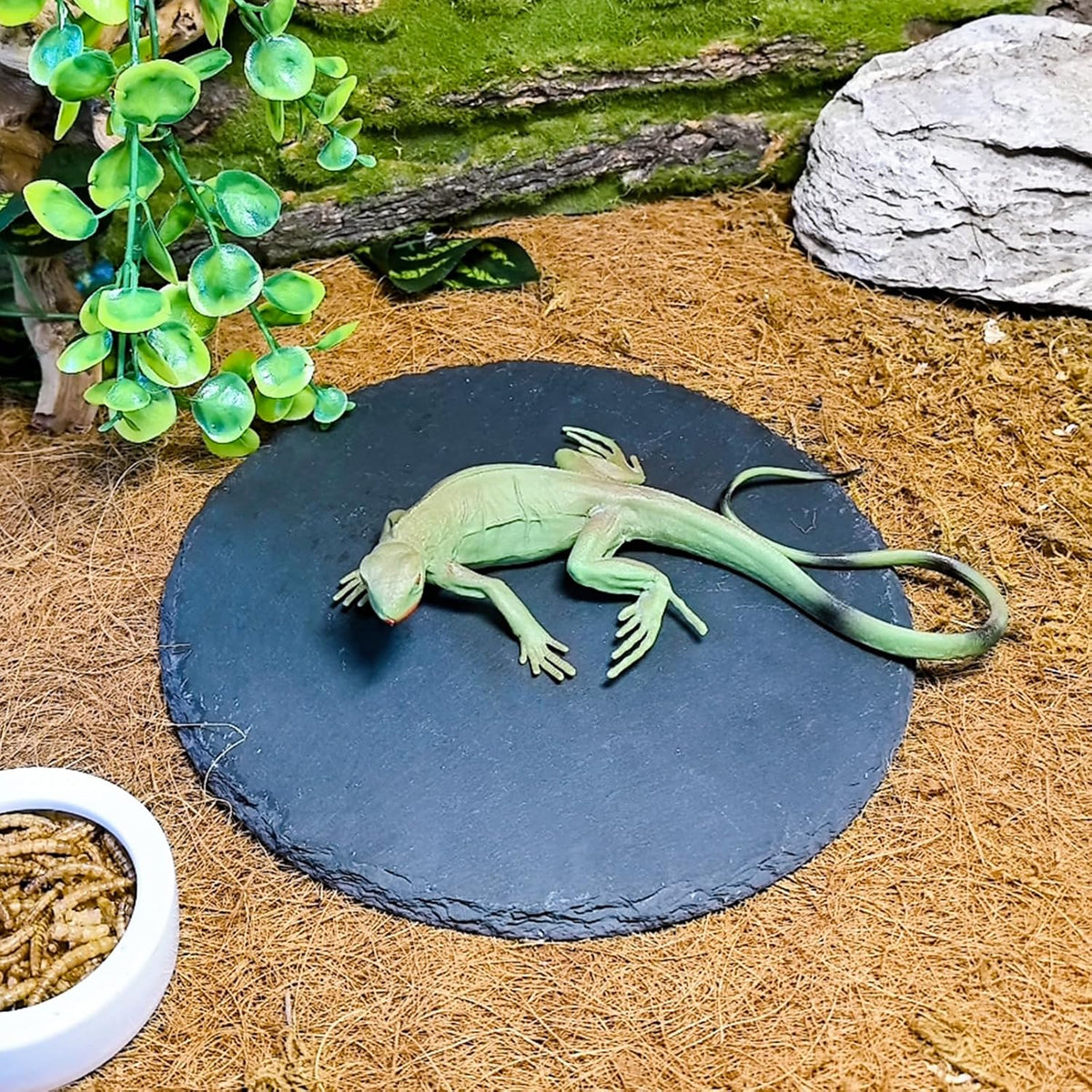 2Pcs Reptile Basking Platform 7.8in Rock Slate Plate Food Bowl for Tortoise