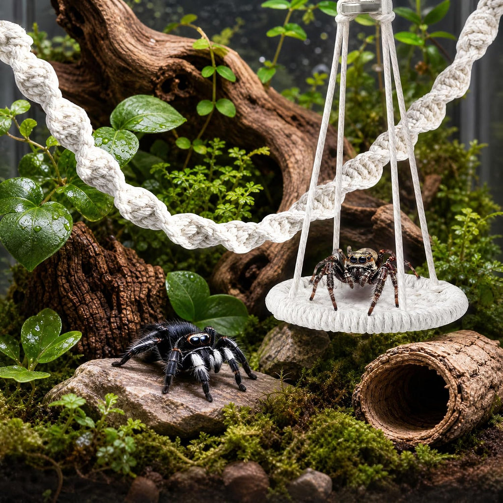 Jumping Spider Accessories Set, 5PCS Magnetic Cotton Rope Swing Hammock with Acrylic Feeding Water Dish, Tweezers and Dropper, Terrarium Habitat Decor for Spiders Tarantula Mantis