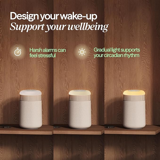 BLUEAIR Purifier for Bedroom - Image 3