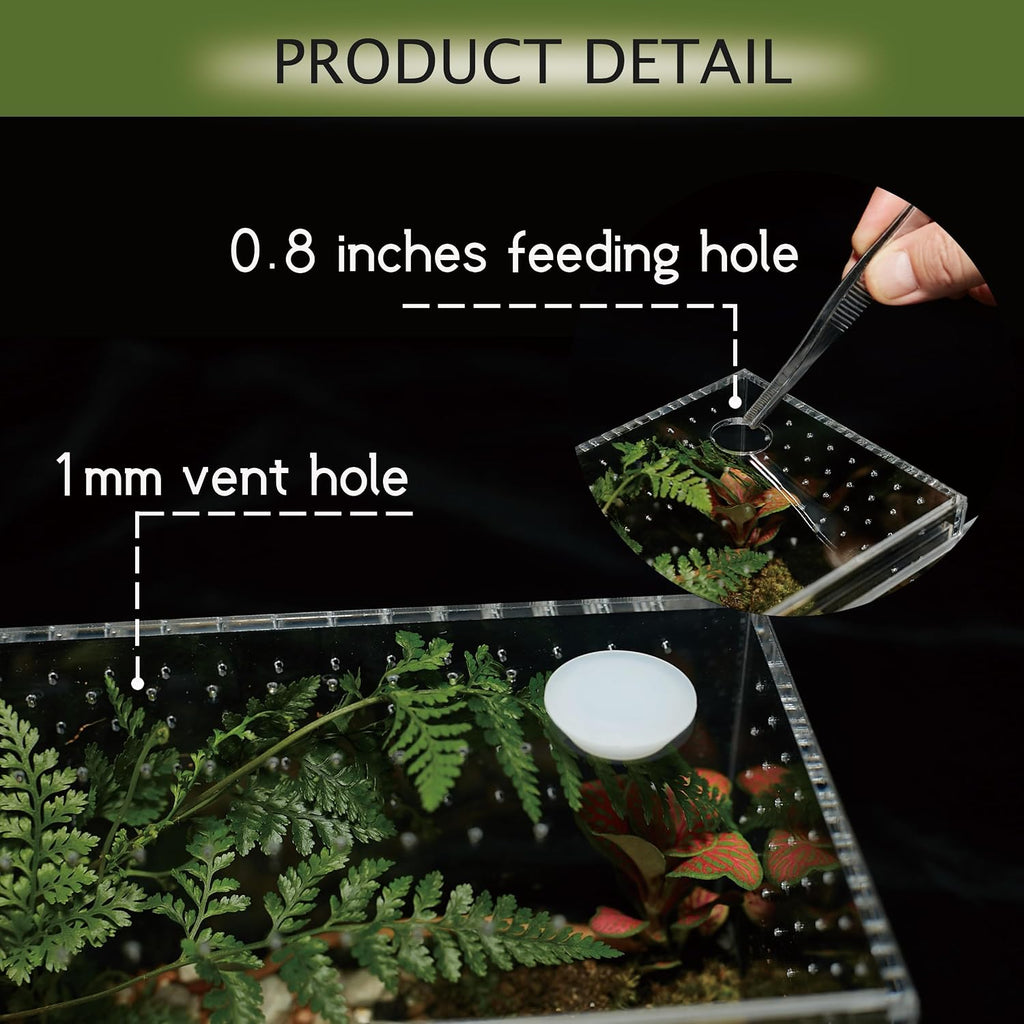 Acrylic Terrarium for Reptiles & Spiders – Small/Medium/Large Leak-Proof Enclosure (Horizontal/Vertical) | Ideal for Tarantulas, Jumping Spiders, Frogs & Geckos(Small, Vertical)