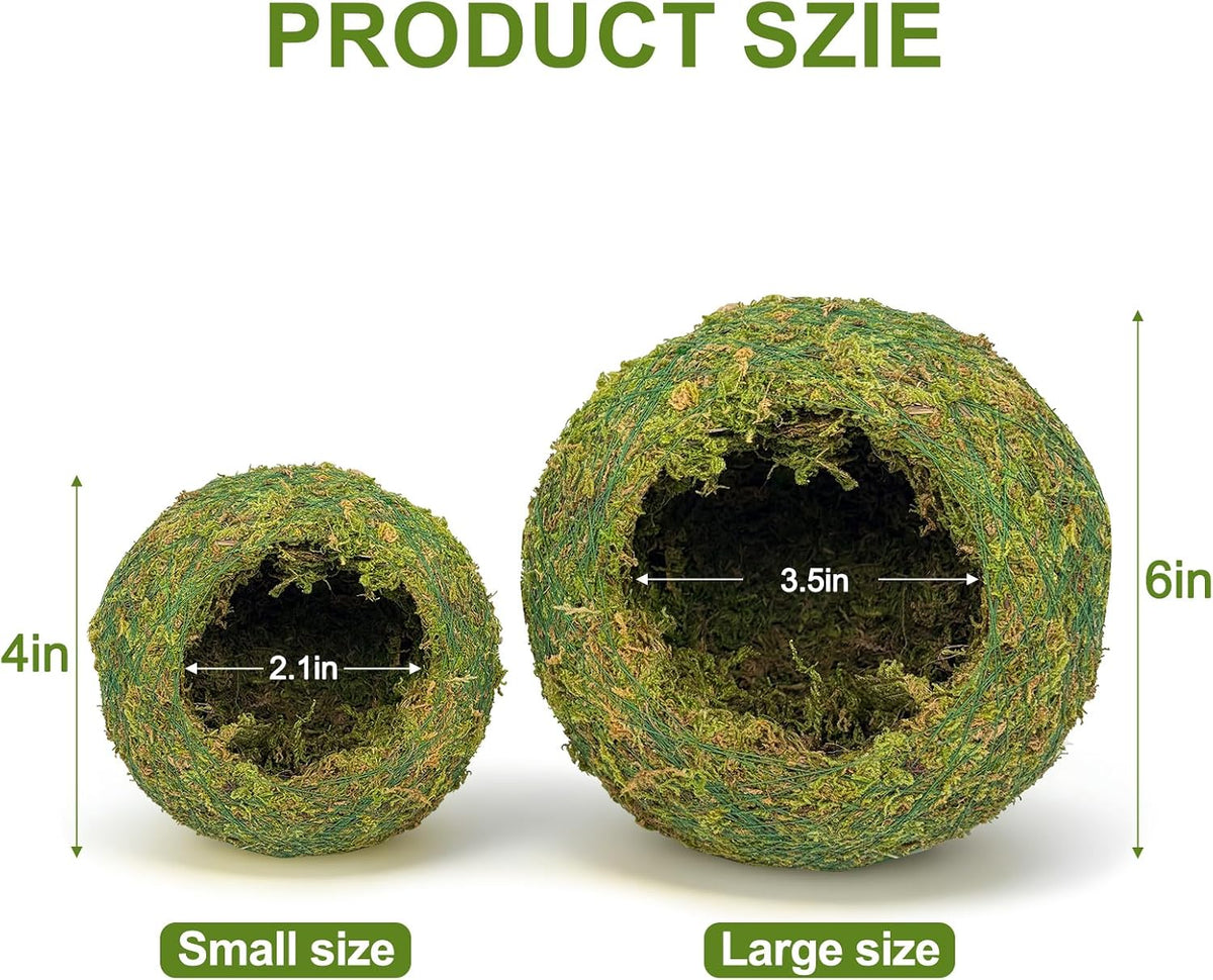 Handmade Moss Reptile Hanging Nest 4 Pcs Set, Large 6″ x 6″