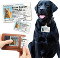PawFurEver Personalized Dog Driver License ID Tag by PawFurEver