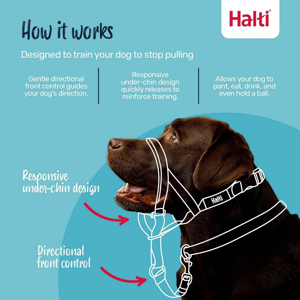 Halti Headcollar | Size 4, Red | Training Collar for Large Dogs