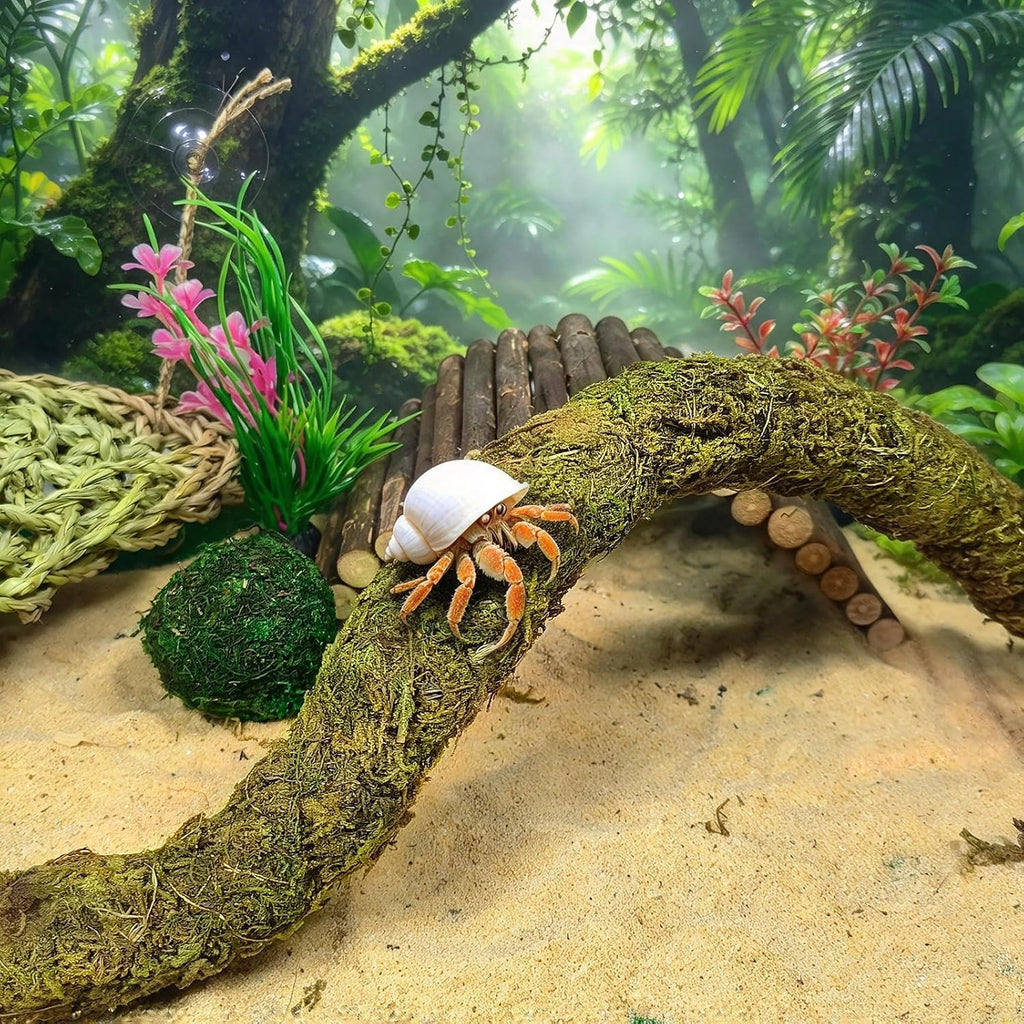 Hermit Crab Accessories,Flexible Moss Pole with Bridges Reptile Hammock