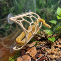 Reptile Honeycomb Climbing Shelf, Suction Cup Snake Hide & Rest Platform, Terrarium Wall Climbing Decor for Ball Python, Corn Snake, Gecko, Bearded Dragon & Lizard (Wood Color)