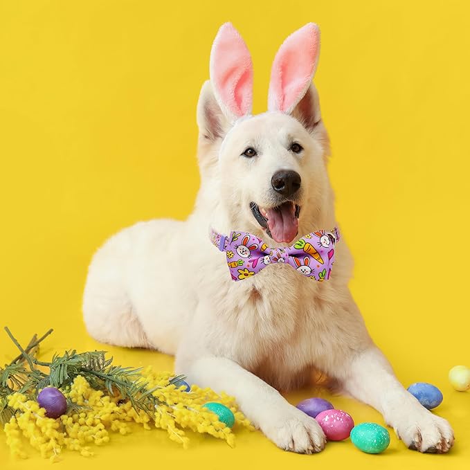 Easter Dog Collar with Bow Tie Set, Adjustable Purple Bunny and Carrot Pattern - Image 5