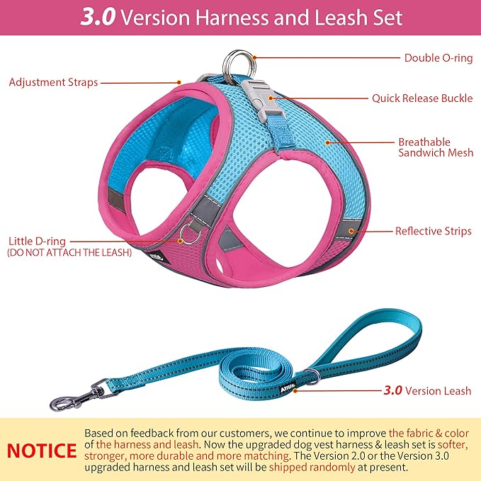 AIITLE Easy Walk Dog Harness and Leash Set - Image 3