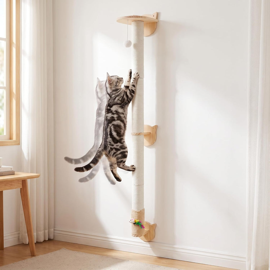 Cat Wall Climbing Post, 60" Tall Cat Climbing Wall Systems for Large Cats