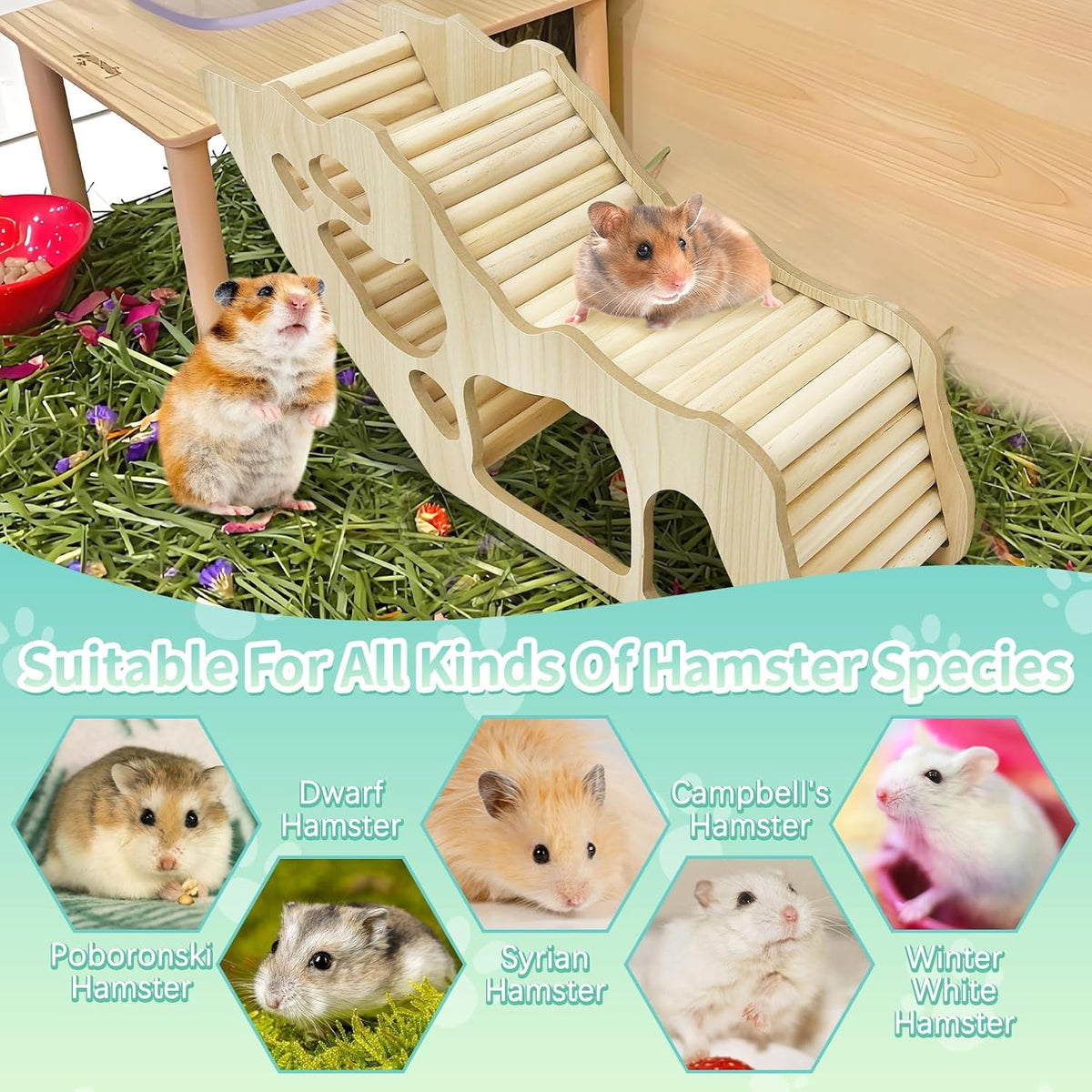 PINVNBY Hamster Climbing Ladder and Tunnel Hideout Wooden Hamster Climbing Toy Cage Decor Accessories for Gerbil Mice or Other Small Animals (Maze Tunnel)