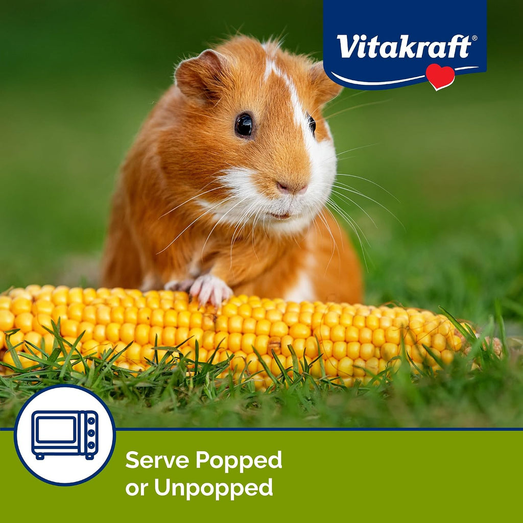Vitakraft Mini Pops Microwavable Corn Cobs for Small Animals - Corn on The Cob Snack for Hamsters, Rabbits, & Guinea Pigs - Pet Treat & Enrichment Chew Toy - Popcorn for Small Animals (1lb)