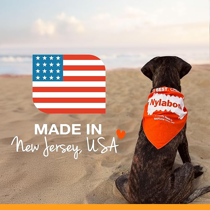 Nylabone Original Bone Power Chew Toy - Image 8