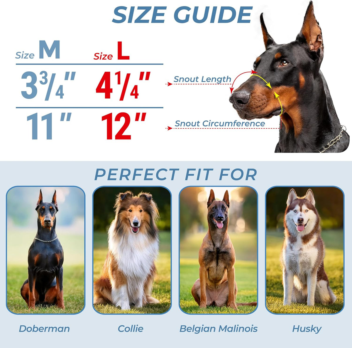 Metal Doberman Muzzle for Large Sized Dog - Cage Muzzles for Barking and Prevent Biting - Steel Wire Basket Muzzle for Medium and Large Dogs Doberman, Collie, Belgian Malinois, Husky etc.