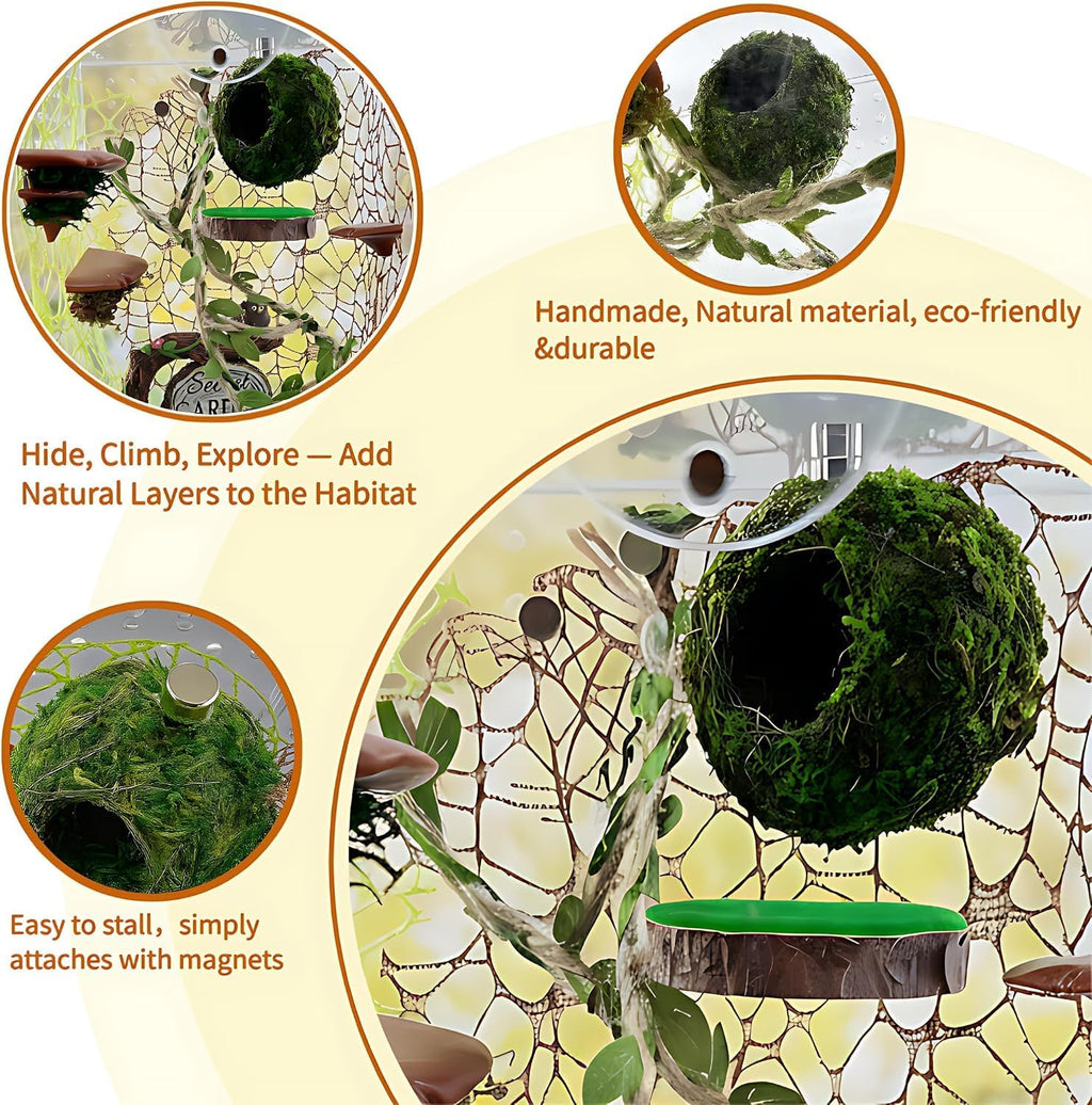 Jumping Spider Accessories, Magnetic Moss Hideout with Resting Platform