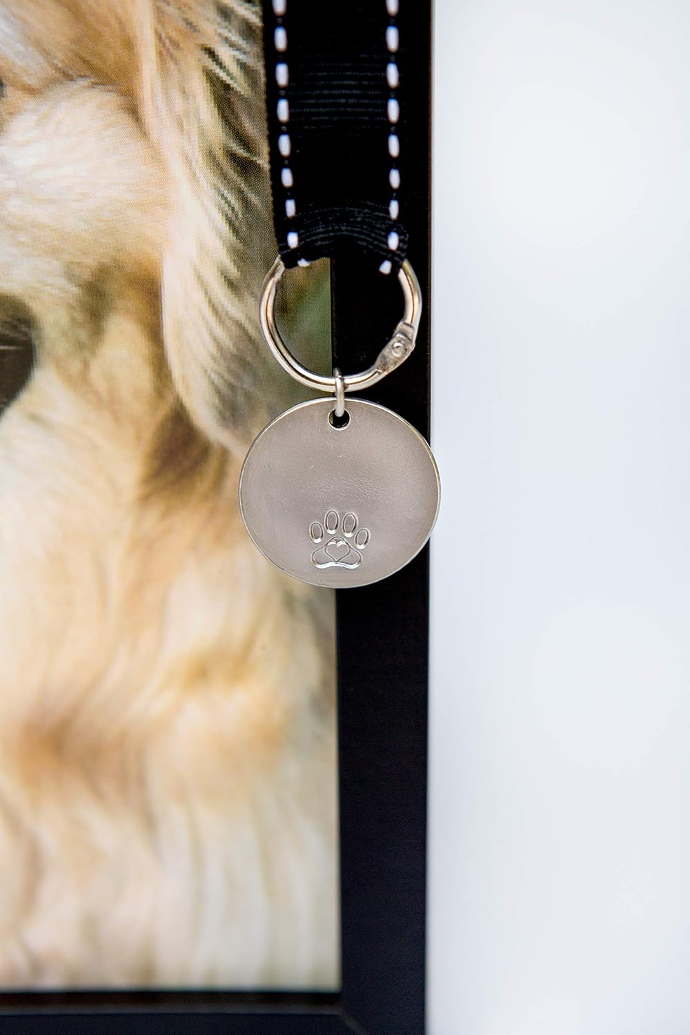 Where I'll Always Be Dog Memorial Photo Frame - Thoughtful Pet Memorial Gift (Frame with Pet Tag)