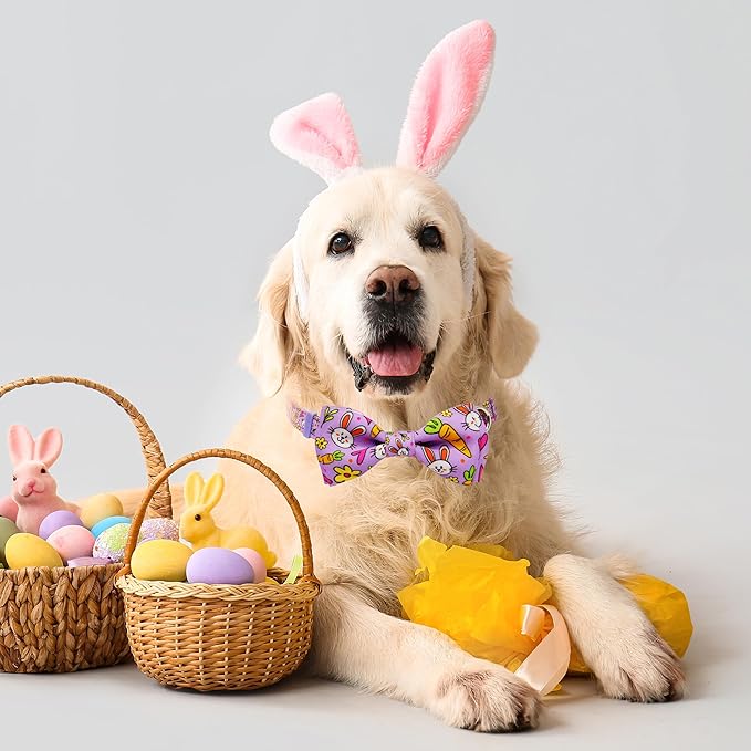 Easter Dog Collar with Bow Tie Set, Adjustable Purple Bunny and Carrot Pattern - Image 5