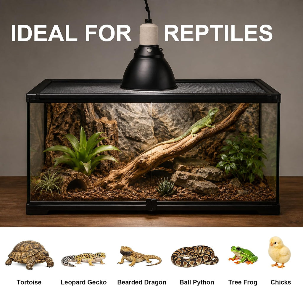 Reptile Light Fixture, 5.5'' Standard Dome Heat Lamp Shade for Reptiles, Lizard, Snake, Turtle