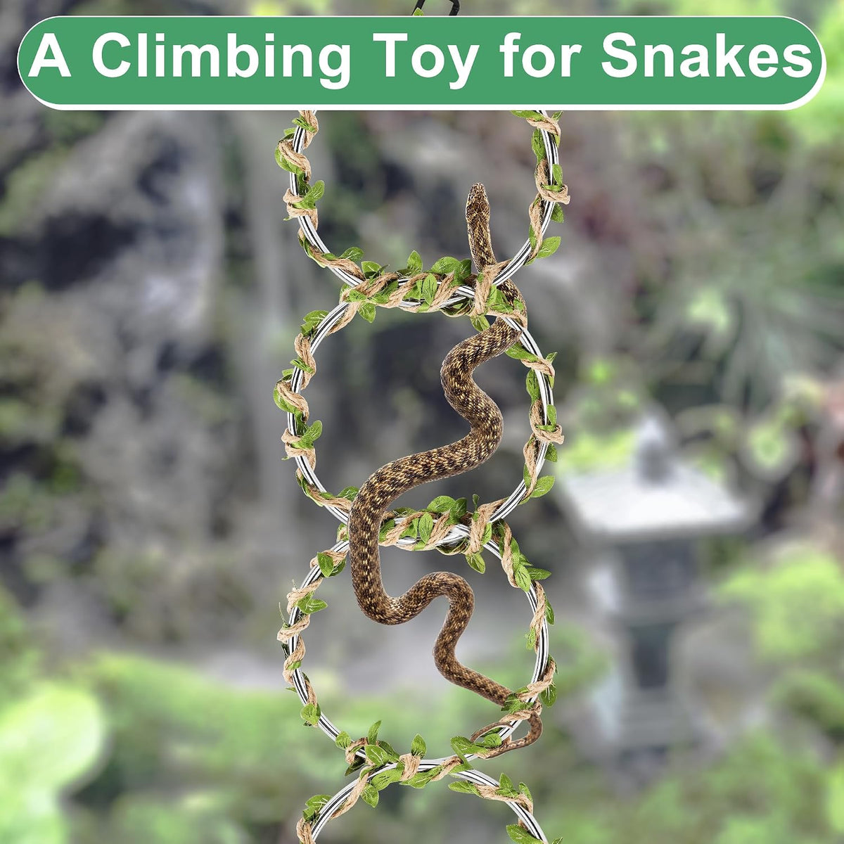 Snake Climbing Rings for Ball Python, 6 Rings
