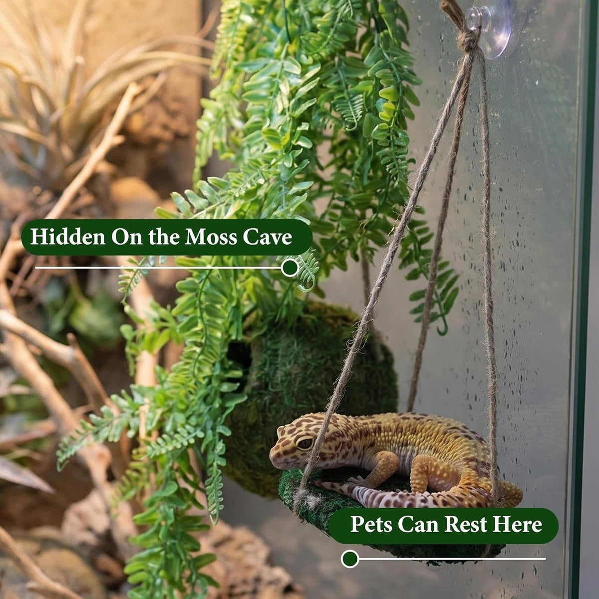 Mossy Reptile Cave Hide, Platform Mossy Hide Shelter for Lizard Gecko Snake