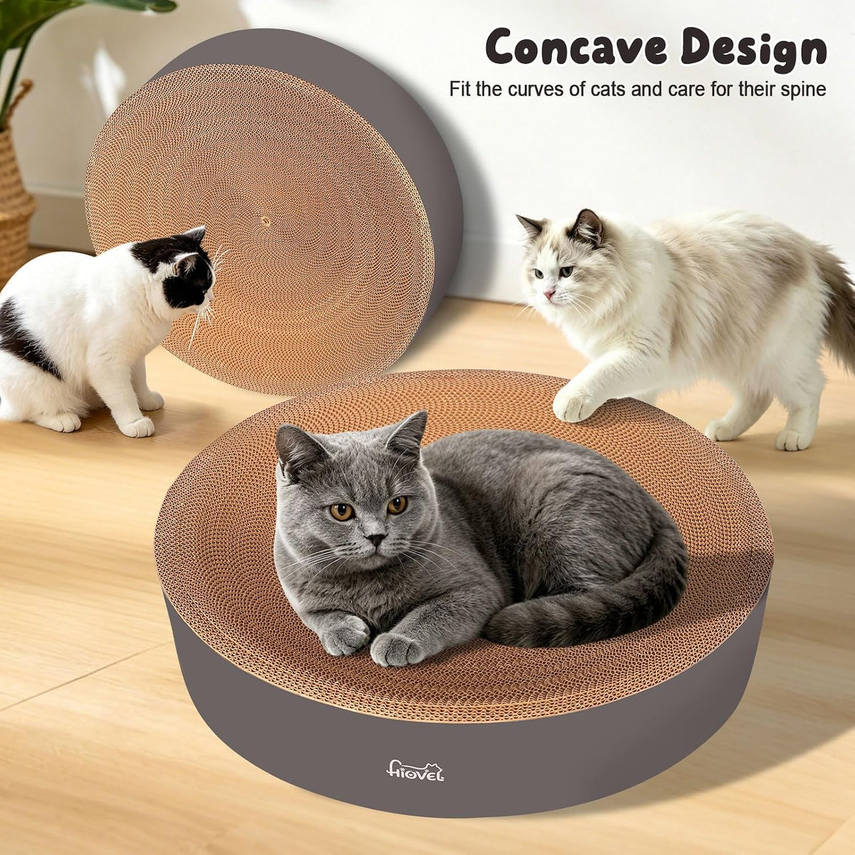 2 in 1 Round Cat Scratching Board, Cardboard Cat Scratcher for Indoor Cats, Corrugated Cat Scratch Pad for Grinding Claws and Rest (23.6")