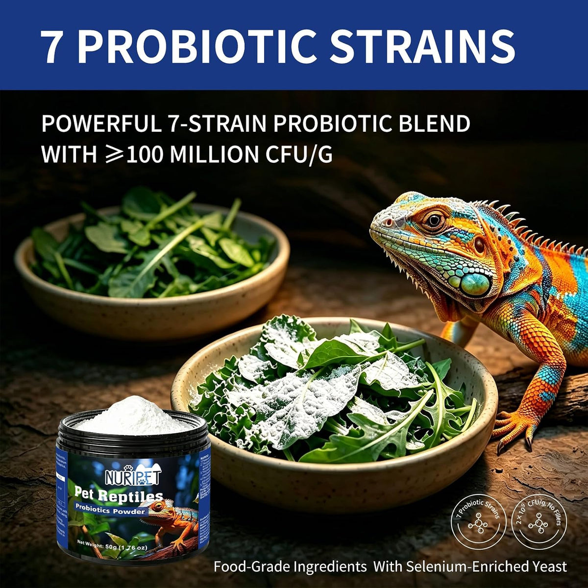 Reptile Probiotic 50g, Gut Support for Bearded Dragon & Tortoise