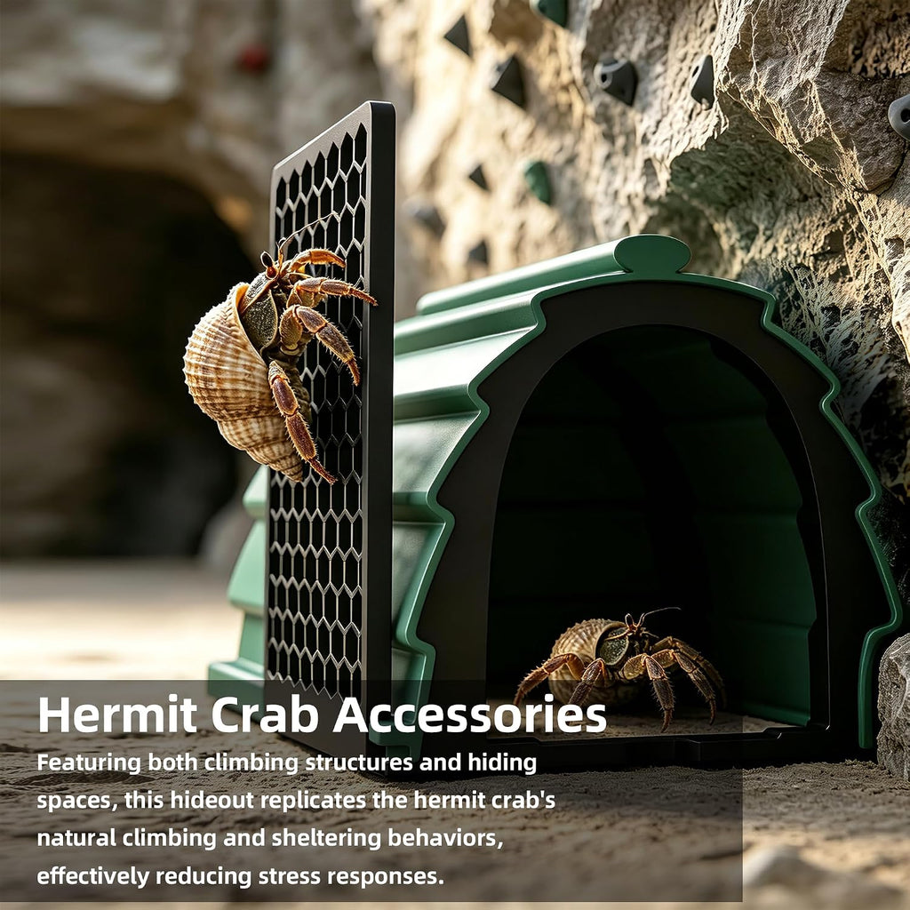 Hermit Crab Foraging Cave with Ladder, Hermit Crab Accessories