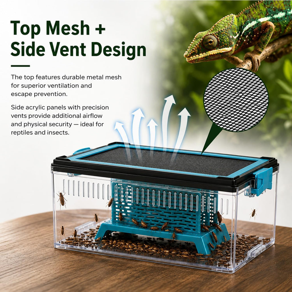 4 Pcs Feeding Container Complete Kit, 10x5.8x4.13 Inch