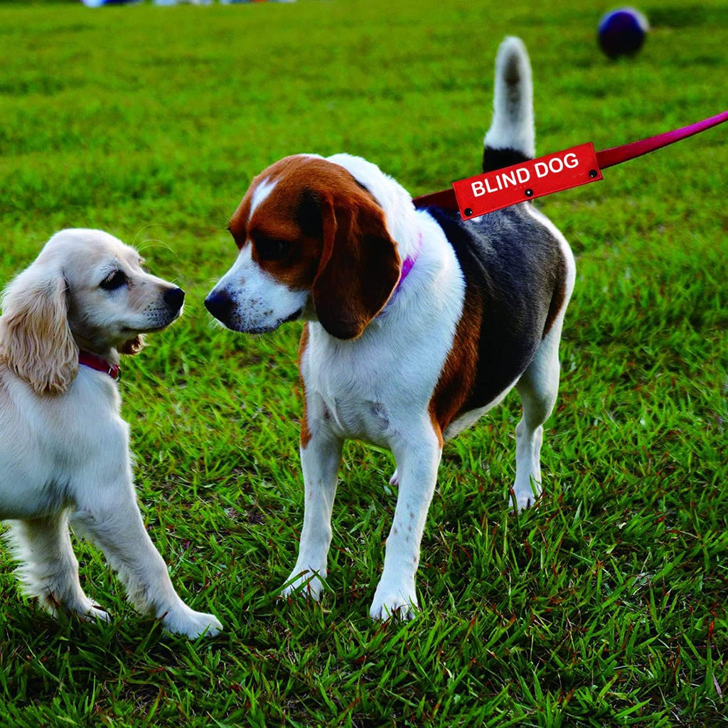 Blind Dog Sleeve - Visual Impairment Dog Leash Wrap Alert ID Patch Tag Pet Birthday Gift