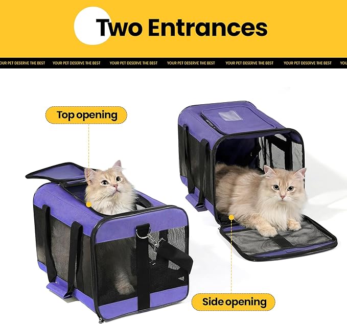 Cat Carrier Airline Approved, Soft-Sided Dog Carrier - Image 4
