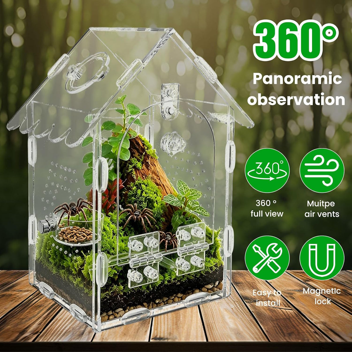 Jumping Spider Enclosure, Pray Mantis Home, Front Opening Acrylic Terrarium