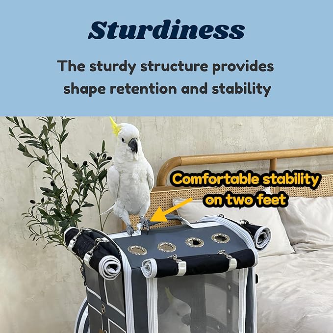 Birds Day Cockatoo Carrier Backpack-Parrot Travel Cage - Image 7