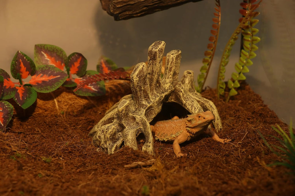 AQUA KT Reptile Dinosaur Skull Rock Skeleton Hideout for Gecko Lizard Hide