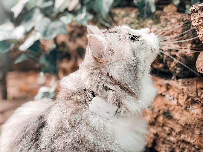 Pro-Track-tor - Ultra-Lightweight Cat Finder - No Monthly Fees - 1600ft Range - Image 5