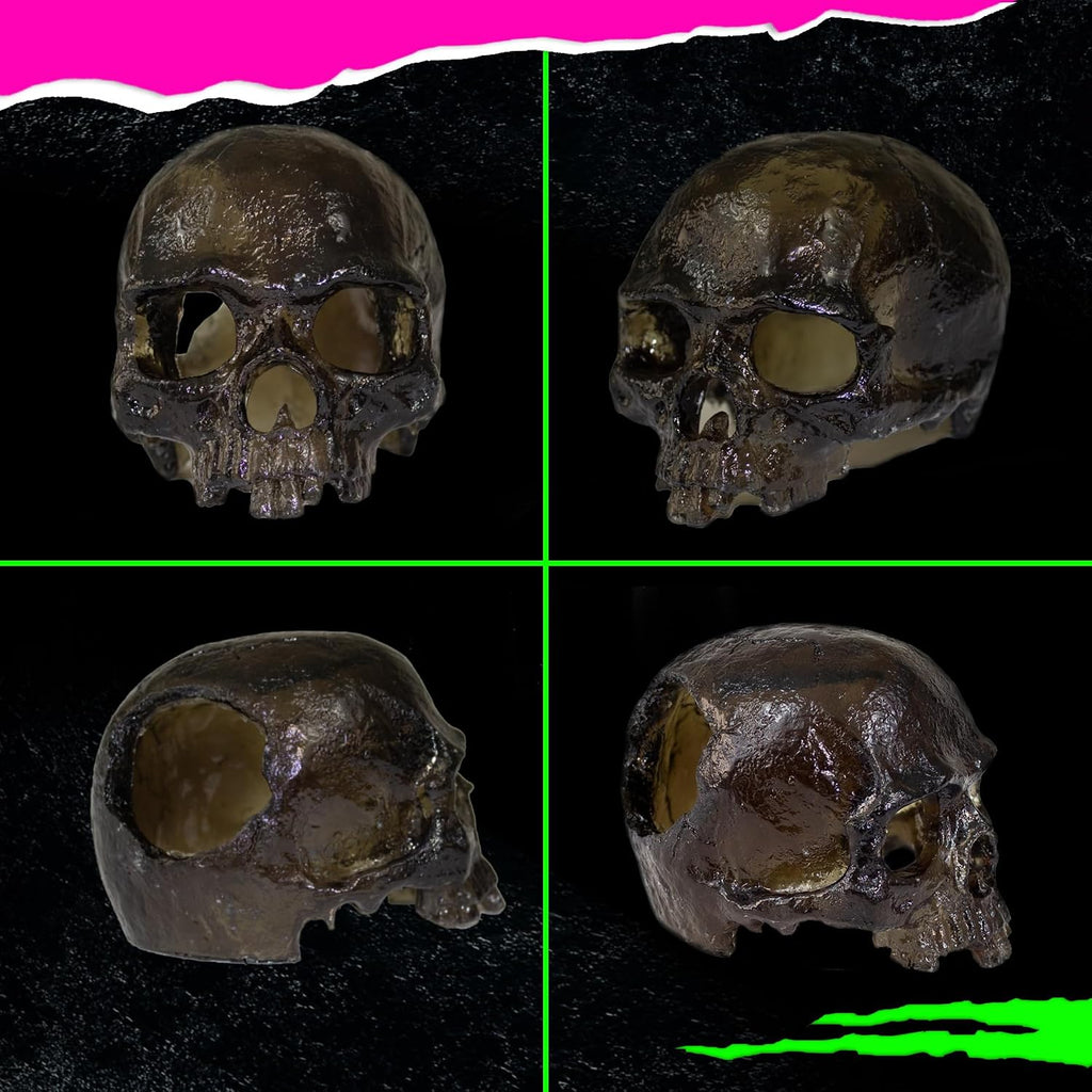 Spooky Skull Décor, Premium Aquarium Resin Skull, Fish Tank Skull Decoration, Unique and Durable Snake/Reptile Hide, Halloween Aquarium Décor for Small Pets, Perfect for Terrarium Décor