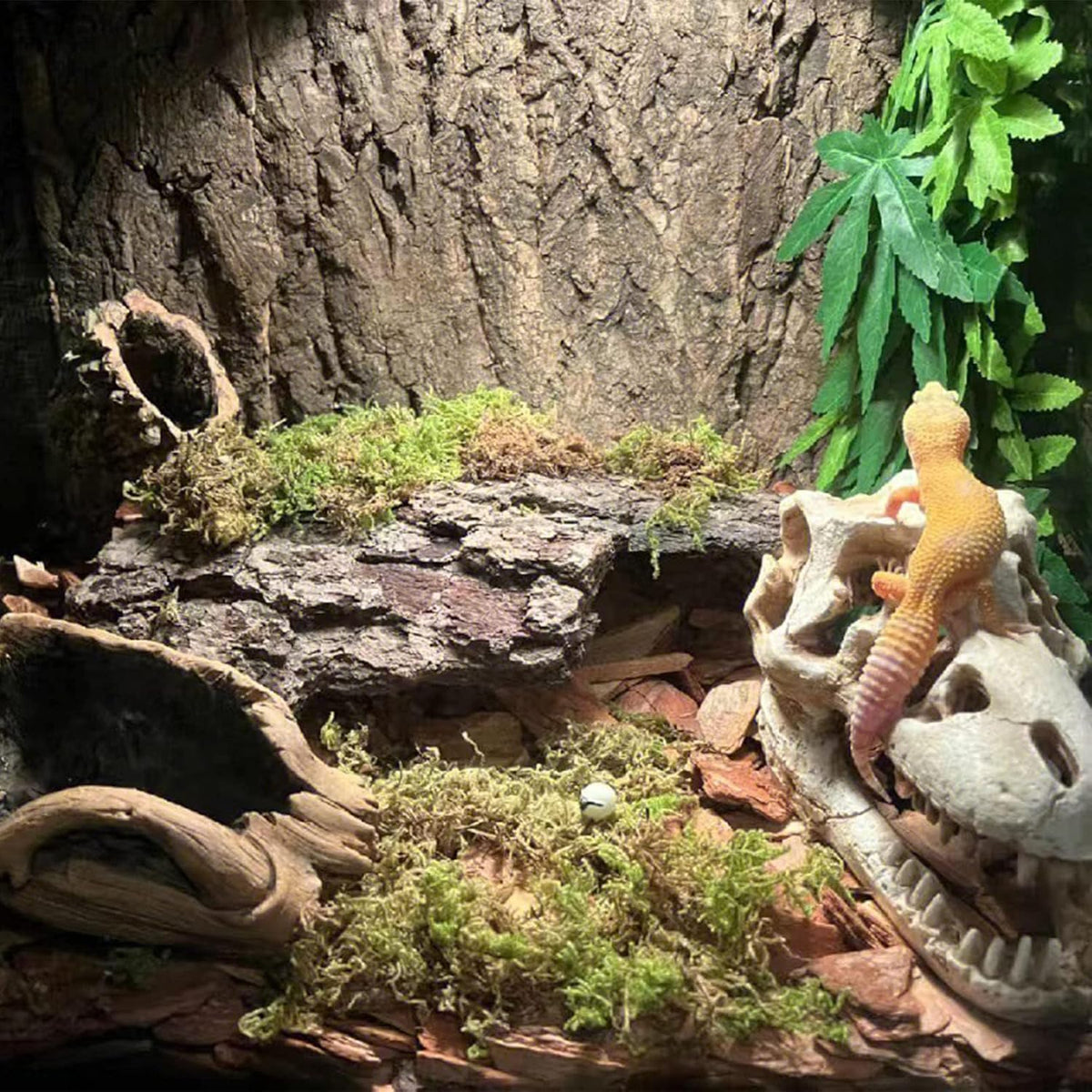 2PCS 11.8"x11.8" Natural Thickened Reptile Cork Bark Terrarium Background