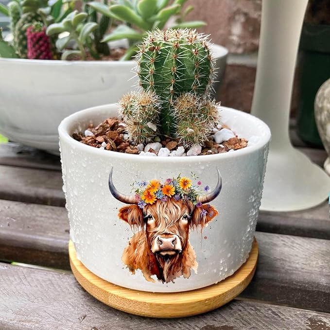 Highland Cow Succulent Pots 3 Pack, 3 Inch Succulent Planters - Image 6