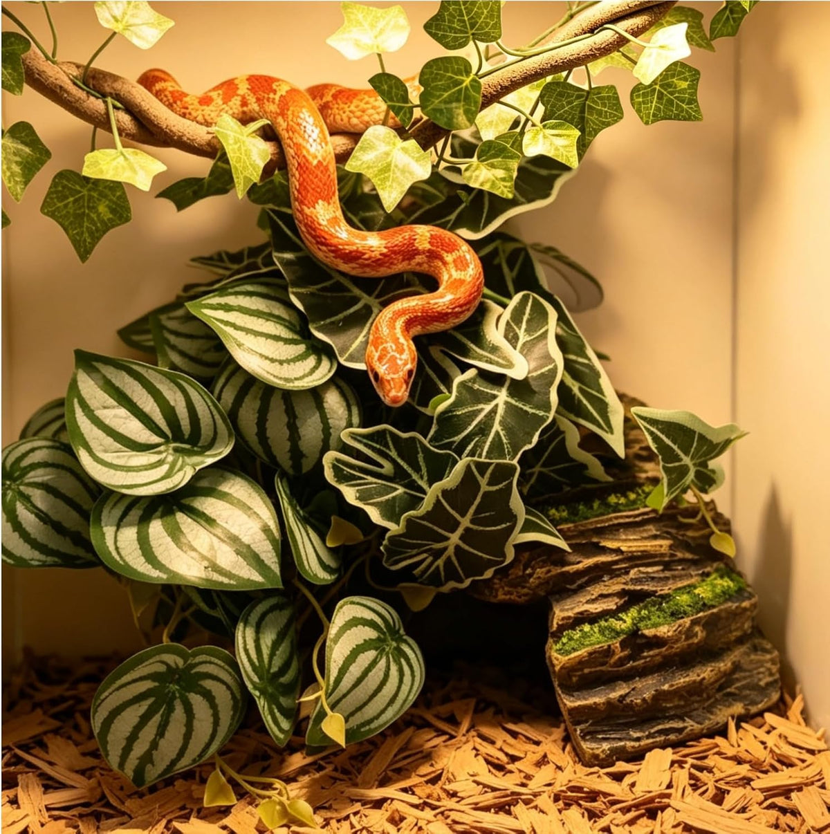 Bearded Dragon Tank Decor, Leopard Gecko & Snake Enclosure Accessories Set