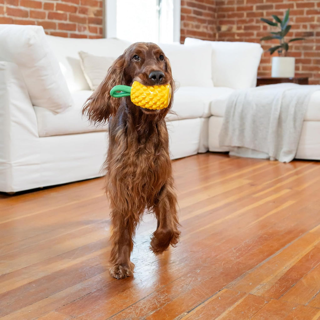 Outward Hound Dental Pineapple Chew & Treat Stuffer Dog Toy for All Breeds