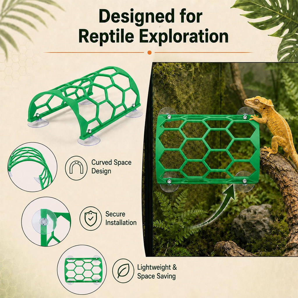 Reptile Climbing Shelf, Suction Cup Honeycomb Platform Snake Tank(Green)