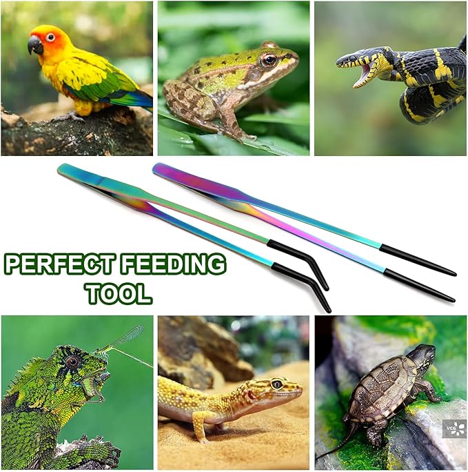 OLIISS Stainless Steel Reptile Feeding Tongs - Image 7