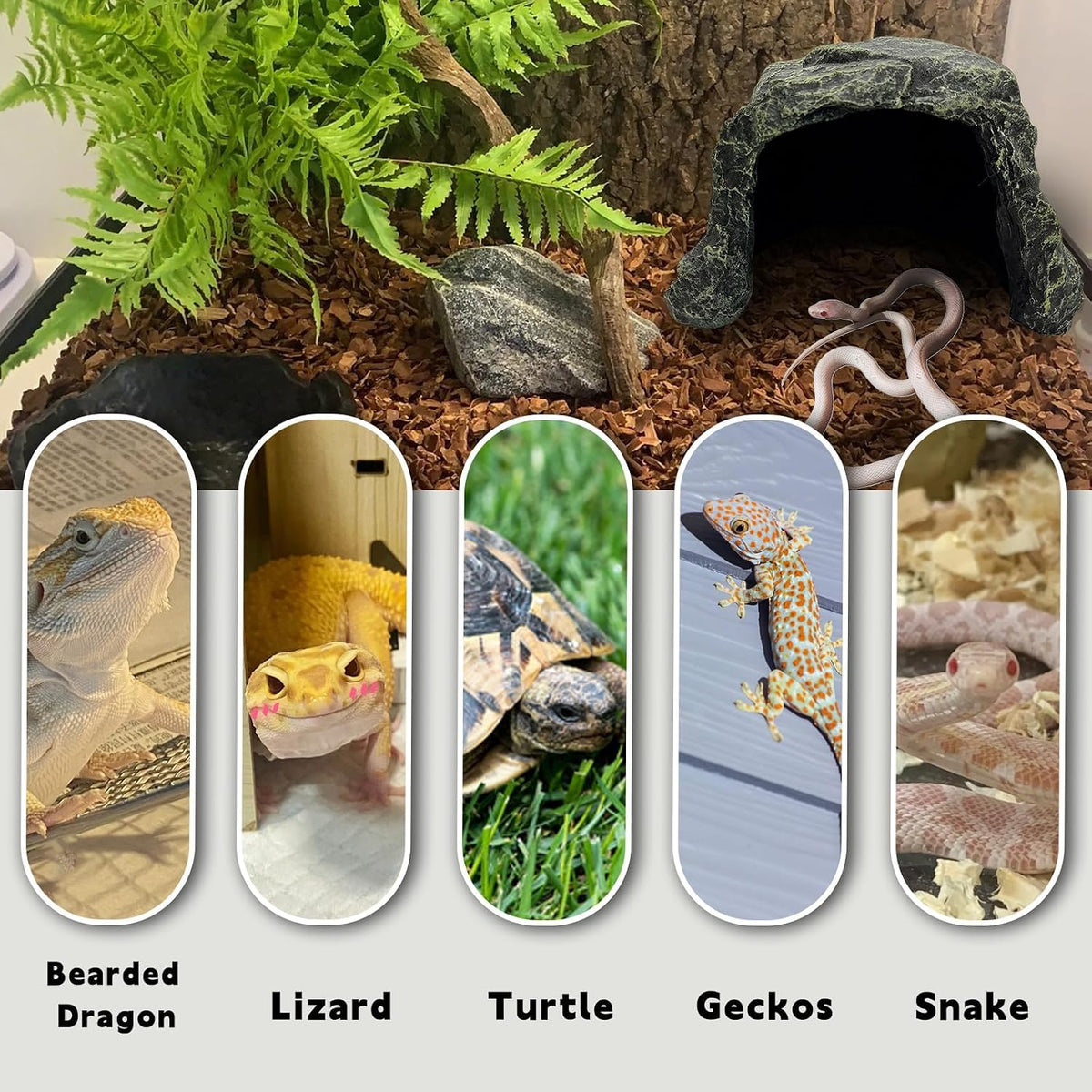 BNOSDM Reptile Hideout,Tortoise Hide Cave,Resin Rock,Bearded Dragon Hideaway,Turtle Basking Platform,Reptiles Habitat Decor Tank Accessories for Lizards Gecko Snakes Chameleon Frogs