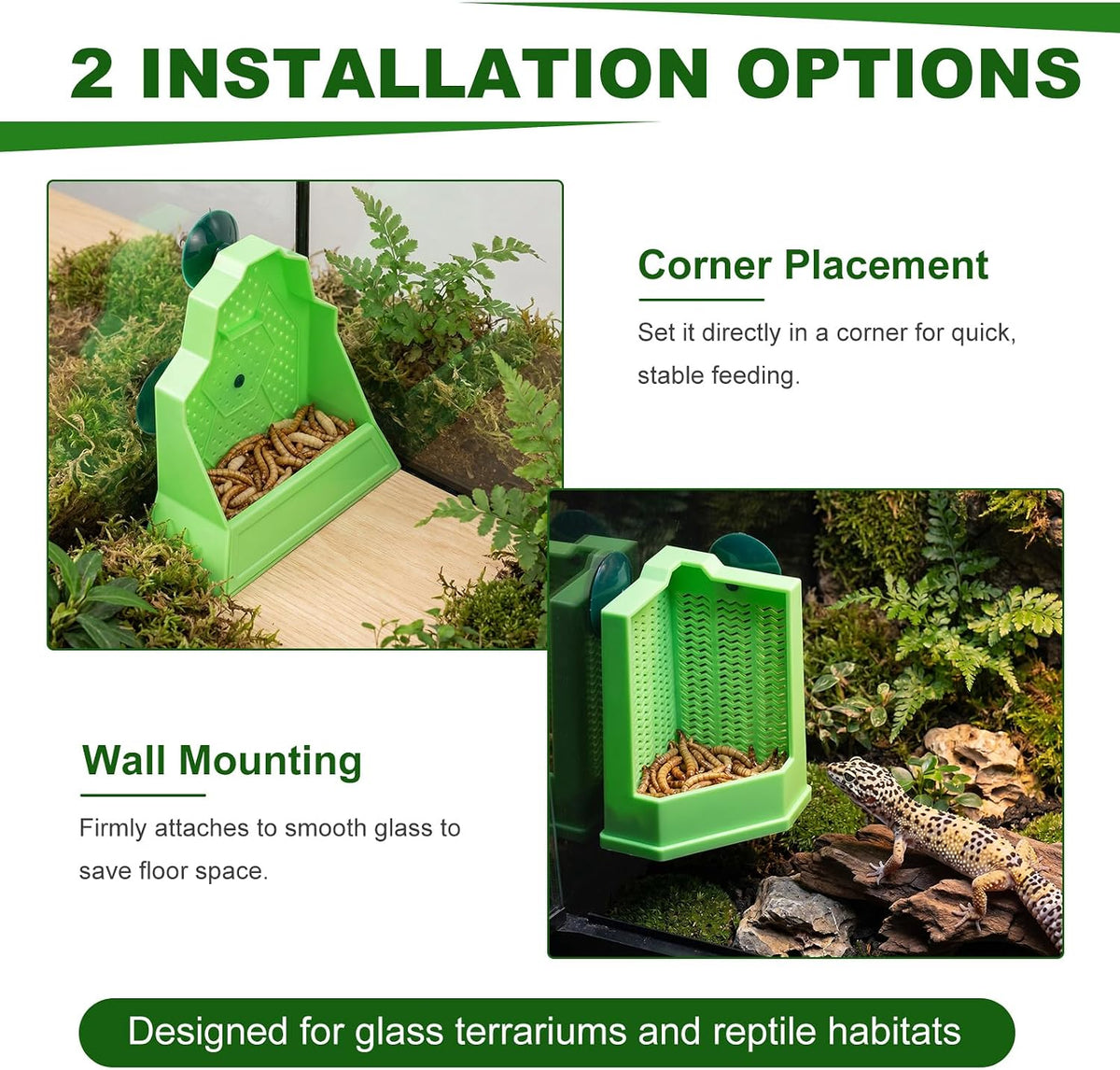 Reptile Feeder Combo Set, 2 Pack Bowls with 2 Pack 10.6" Tongs