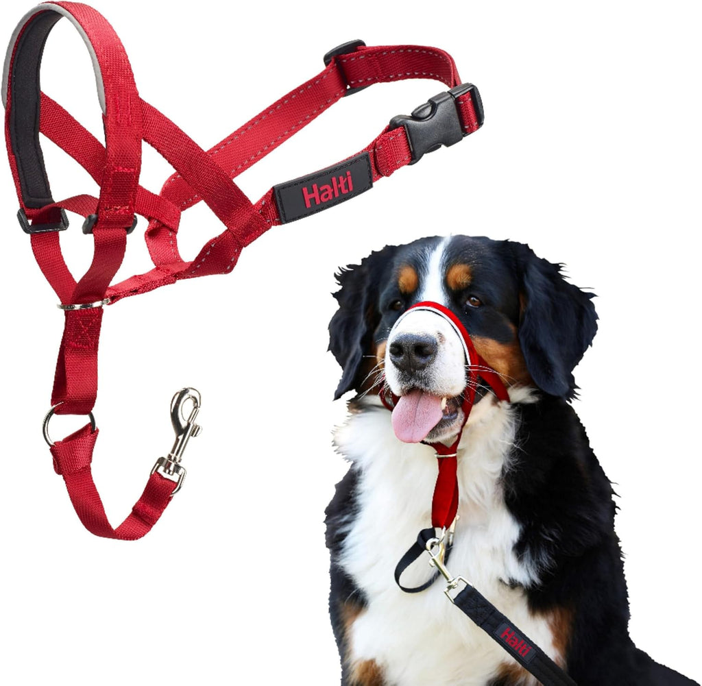 Halti Headcollar | Size 4, Red | Training Collar for Large Dogs