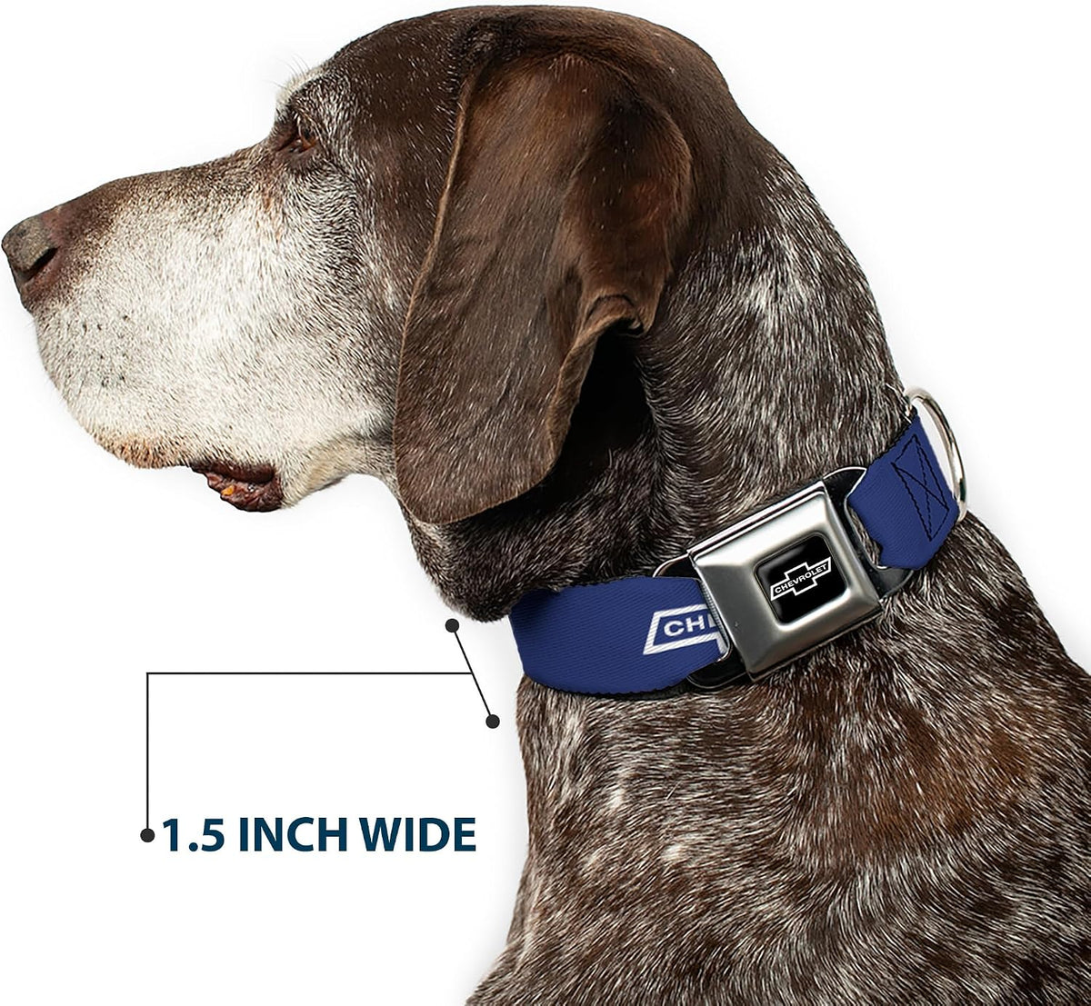 Buckle-Down DC-WCH043-S 9-15" "CHAX-1965 CHEVROLET Bowtie Full Color Black/White" Dog Collar, Small