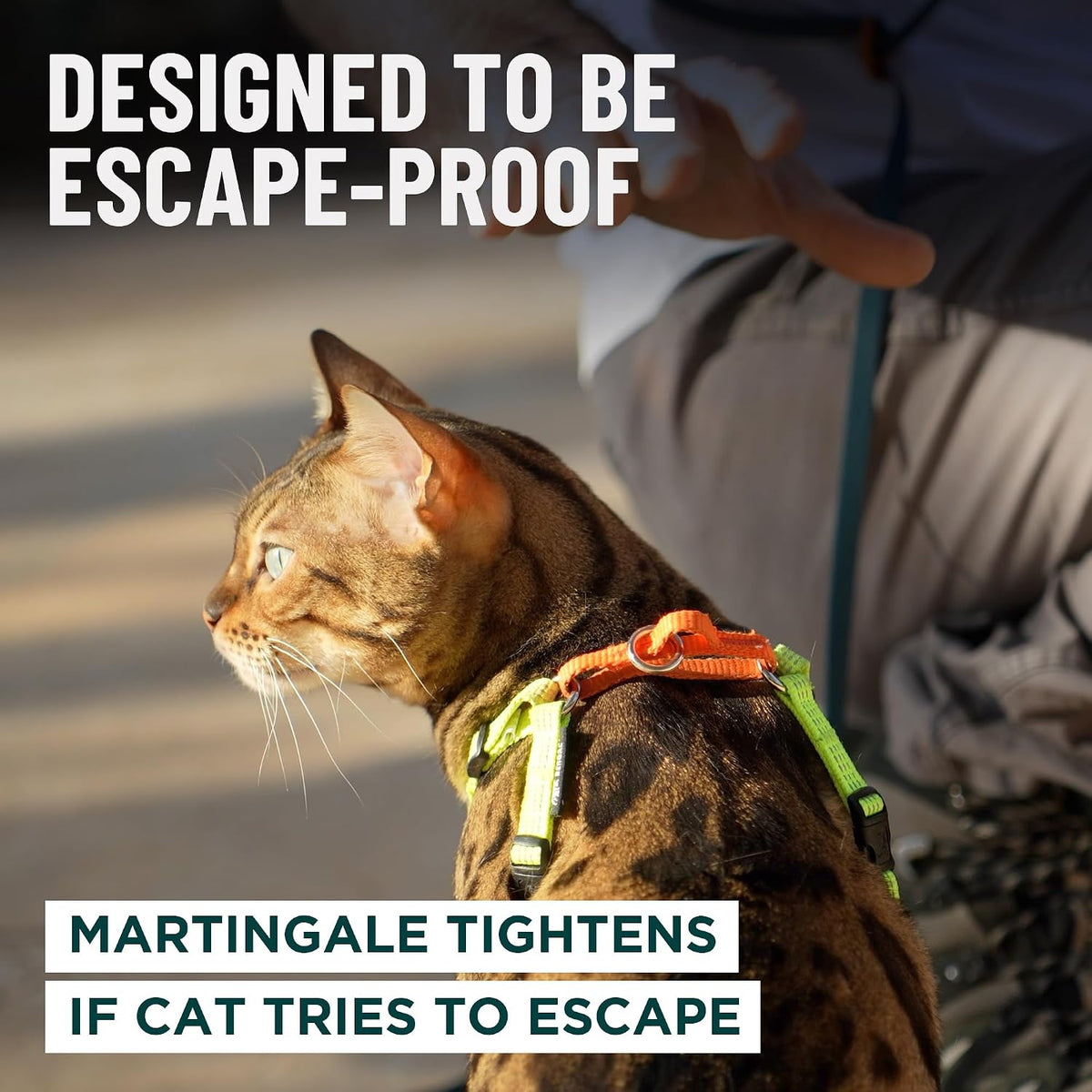 Always On™ Martingale Cat Harness (Neon Reflective, M/L)