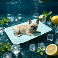 Dog Cooling Mat Instant Self Cooling Pad for Dogs & Cats 28" x 22"