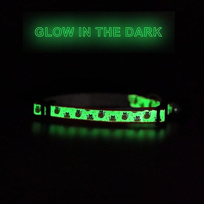Pawtitas Halloween Cat Collars for Cats Adjustable Collar Glow in The Dark - Image 8