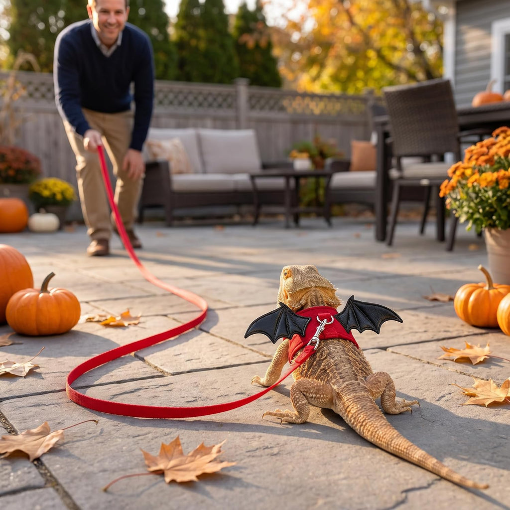 Bearded Dragon Harness and Leash with Wings