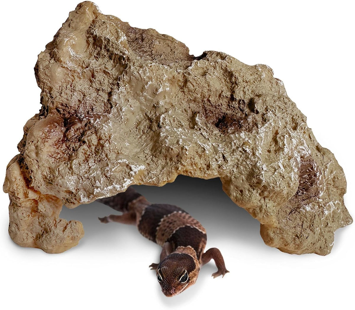 Hamiledyi Reptile Hides Large Simulation Rock Reptile Cave Hideouts Terrarium Habitat Décor Bearded Dragon Hideout for Snake Geckos Lizards Turtle Frogs Amphibians (L)