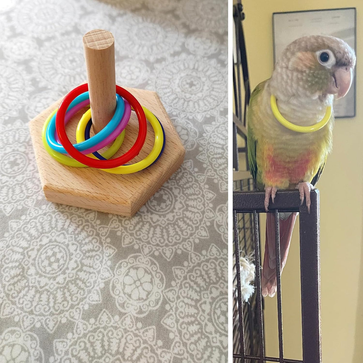 QBLEEV Bird Tabletop Toy, Parrot Activity & Training Trick Color Ring Toys